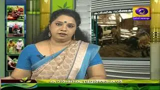 കന്നുകാലികളിലെ  ചർമ്മ  മുഴരോഗം- Lumpy Skin Disease- Krishidarshan 31-01-2020