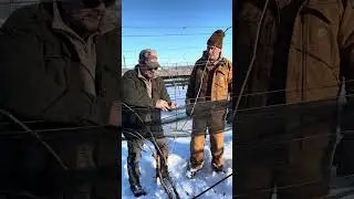 Bird netting review. Side netting fruit zone testimonial