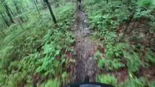 Neversink MTB Flat