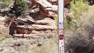 Hiking Mule Canyon House on Fire ruins and Cave Towers