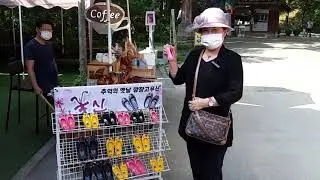 《Habibi Jordan》Naesosa Temple in Buan, South Korea (전북 부안 내소사) 3대 전나무숲