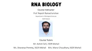 RNA Processing and Life Cycle: RNA Maturation and RNPs
