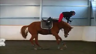 TIPUN SEKELT&Auml;