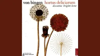 Cum Vox Sanguinis: Hymne