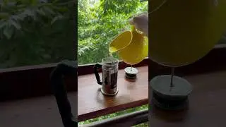 Coffee in the jungle 🦥☕️