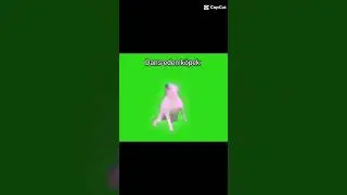 Dans eden k&ouml;pek 😂🐶 #edit #memes #funny