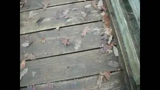 Little Clifty Falls, November 2025
