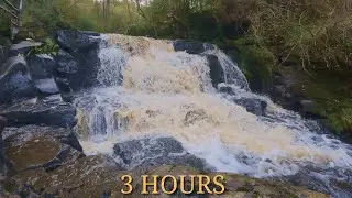 Total Immersion: 3 Hours of a Hidden Irish River | Relaxing Nature Sounds