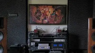 #zamanekodikhanahai #puchonayaarkyahua diy open baffle speakers single ended monoblock tube amp