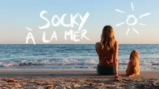 J'EMM&Egrave;NE MON CHIEN EN WEEK-END