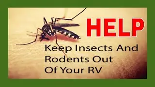 How to keep pests away from our camp