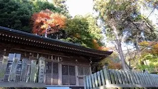 Fukui-ken Echizen-shi Tour pela cidade !!!