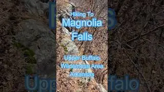 Magnolia Falls #hike #nature #ozarknationalforest #trekking #hikingadventures #shorts #wilderness