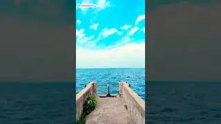 Chennai's biggest lake end&para; #trending #youtubeshorts #shortvideo #chennai #touristspot #viralshorts