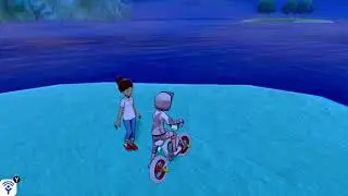 EV Resetting NPC - Pokemon Sword/Shield: The Isle of Armor