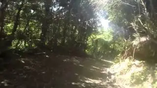 close call akatarawa forest 2015