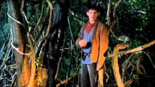 Merlin Multimale Character Collab