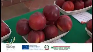 Pesco, albicocco e susino