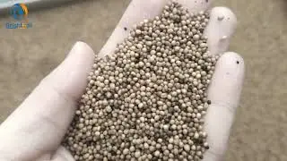 Mustard Seeds Powder Roller Grinding Machine- sales009@brightsail-asia.com