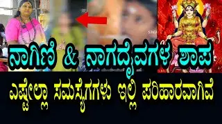 ನಾಗಿಣಿ & ನಾಗದೈವಗಳ ಶಾಪದಿಂದ ಏನೆಲ್ಲಾ ಸಮಸ್ಯೆ ಎದುರಾಗಿತ್ತು । ಎಲ್ಲವು ಇಲ್ಲಿ ಹೇಗೆ ಪರಿಹಾರ ಕಂಡಿವೆ ಕೇಳಿ