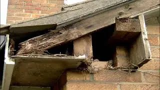 Eaves Protection - Roof Repairs in Bristol, Bath & North Somerset