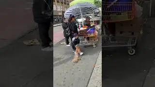 Only In New York #homeless #slums #newyork #travel #streetfood #street