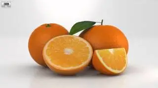 Orange 3D model by 3DModels.org