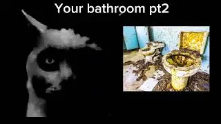 Meme cat becoming uncanny (your bathroom pt2 extended)