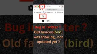 Bug in twitter icon ??