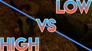 Blair Witch | PC Graphic Settings | Max vs Low