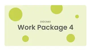 ENDOMIX - Work Package 4