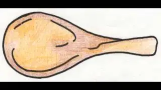 Evolution - graphic iterations