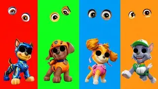 Wrong eyes👀 challenge DAME TU COSITA Paw Patrol Funny Puzzle Wrong Heads