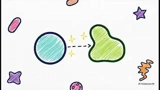 trimnn: characterizing cellular community motifs for studying multicellular topological organizati