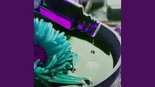 Wonderful Moods for Smooth Stars