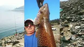 # 30. Lake Hell Hole , California . Trout - Germany Brown .