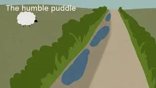 Tips and Tricks from the Natural Navigator: The Humble Puddle