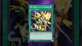 Could My Body as a Shield Still Be A Great Tech Today? #ygo #discussion #tech #tcg #destruction
