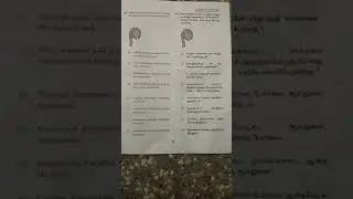NTSE stage 1 tamilnadu question paper 2018