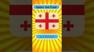Ultimate Flag Challenge! Can You Guess Them All? #shorts