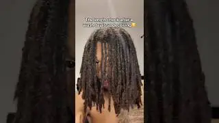 Loc shrinkage after washday! 😫 #locs #locjourney #shorts #naturalhair