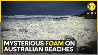 Strange Foam And Dead Fish Wash Ashore At 2 Australian Beaches | World News | WION
