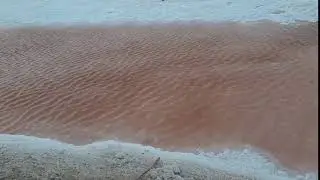 Chott el Jerid - cel mai mare lac sărat din Sahara