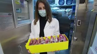 STEAM Series: UCLA's Chief of Transfusion Medicine