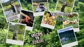 Escaping to nature | A peaceful getaway to Dzuleke,Nagaland 🌿