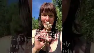 Living off grid using primitive living skills is a dream ! #bushcraft #primitive #offgrid #survival