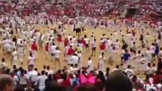 Running of the Bulls - Pamplona Spain 2014