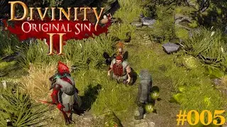 Neue Begleitung | Divinity: Original Sin | #005