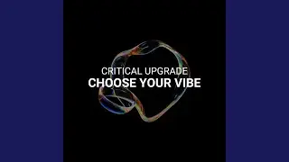 Choose Your Vibe