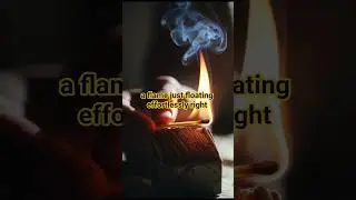 amazing fire experience #wildlife #funny  #nature#toonzinia shorts